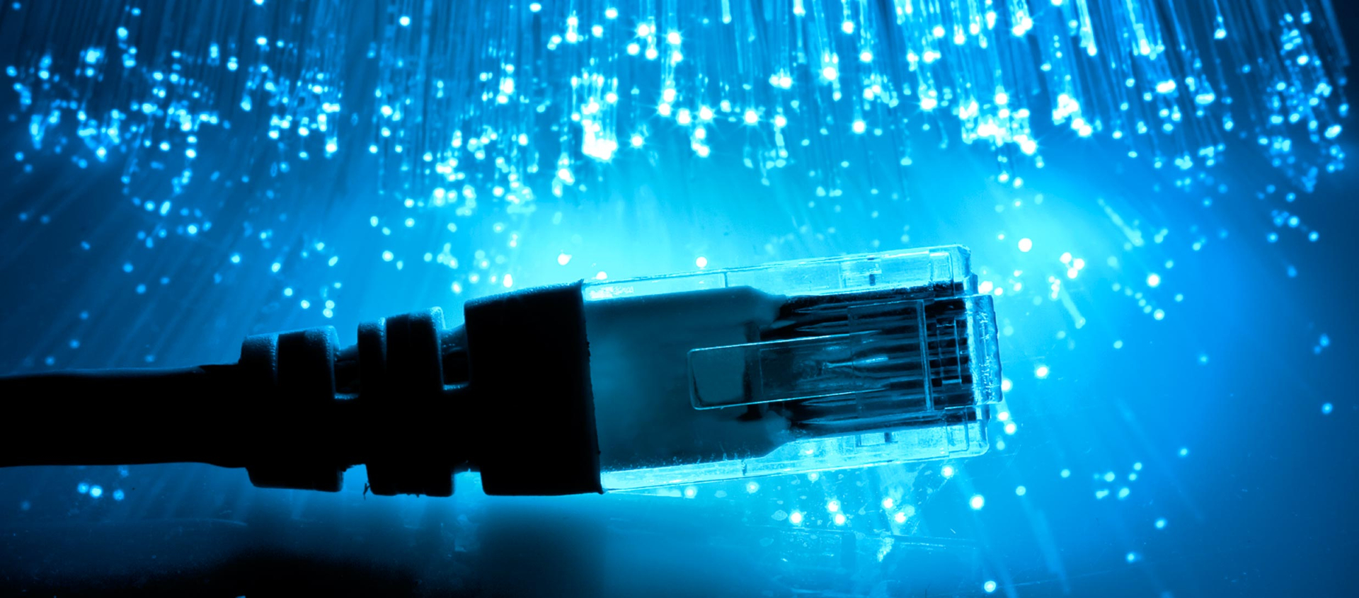 Fiber Optic Networks